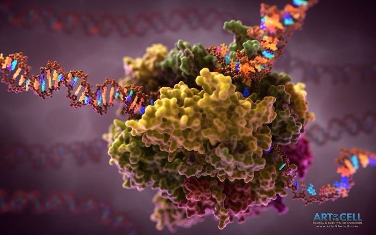 Regulación de la expresión génica: Un pilar en la biología molecular y sus aplicaciones clínicas