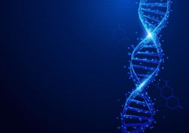 La Intersección de la Genética y la Física: Entendiendo la Mutación, Reparación y Transposición del ADN